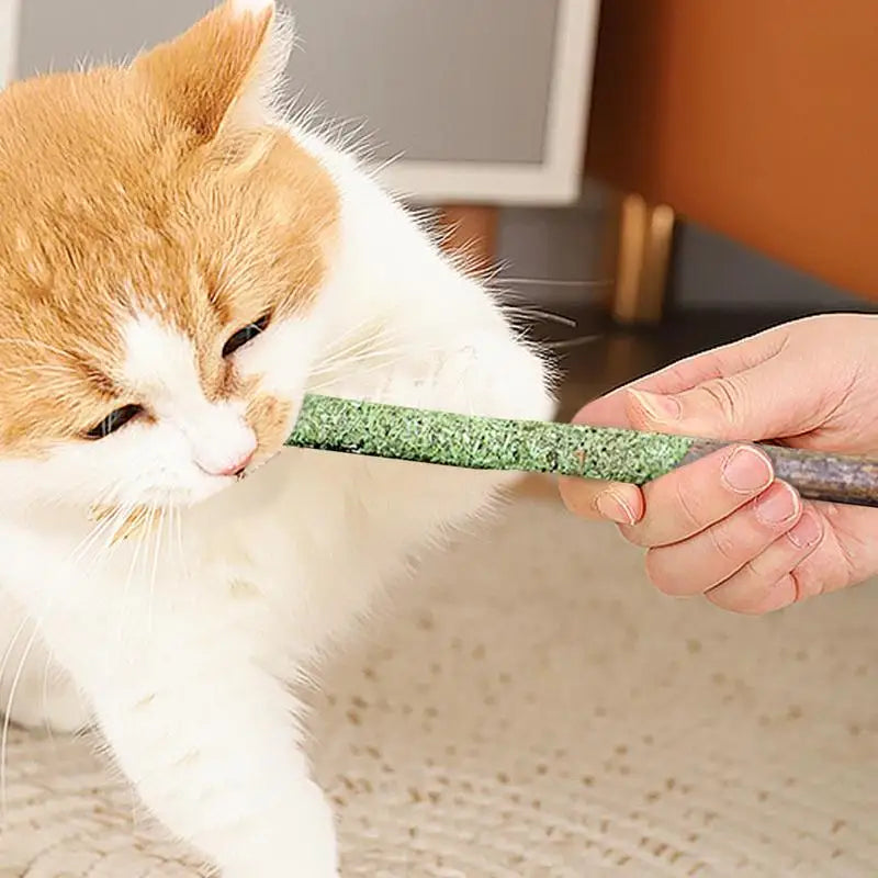 Cat Grass Sticks Indoor Cat Teething Grass Sticks Teething Stick Snacks For Cats Cat Grass Sticks For Hairball Removal