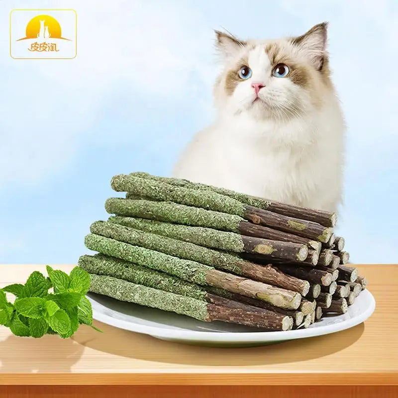 Cat Grass Sticks Indoor Cat Teething Grass Sticks Teething Stick Snacks For Cats Cat Grass Sticks For Hairball Removal
