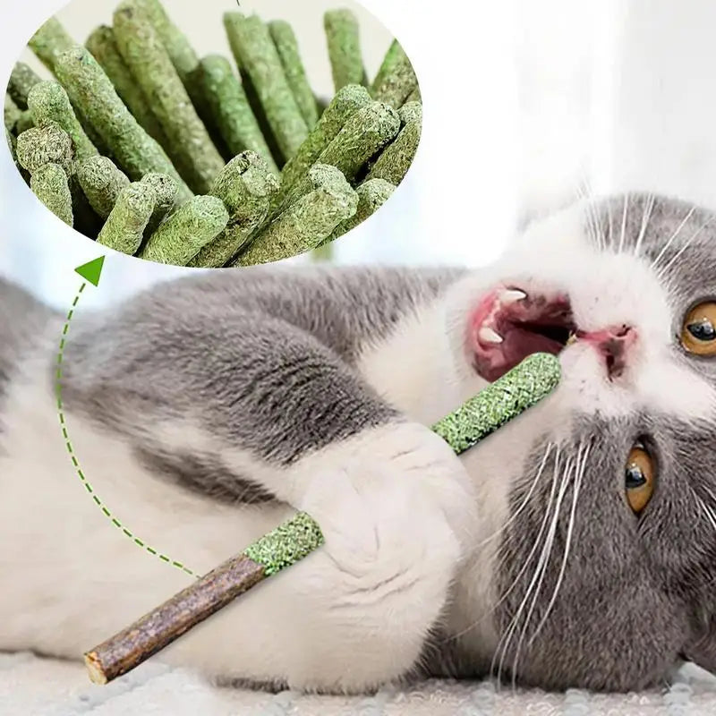 Cat Grass Sticks Indoor Cat Teething Grass Sticks Teething Stick Snacks For Cats Cat Grass Sticks For Hairball Removal
